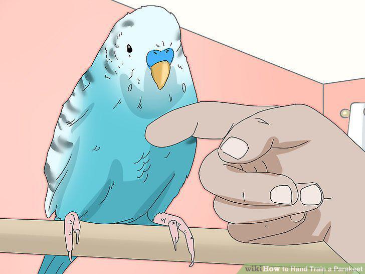 Step 11