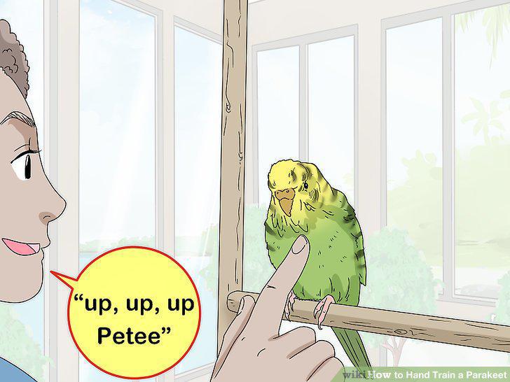 Step 12
