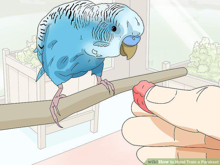 Step 13