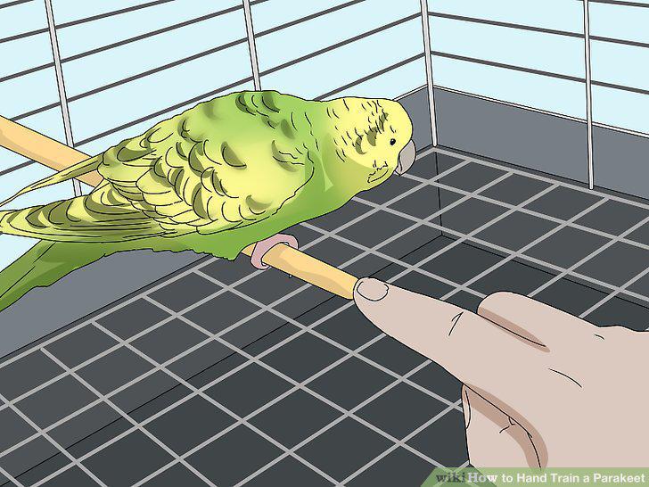 Step 14