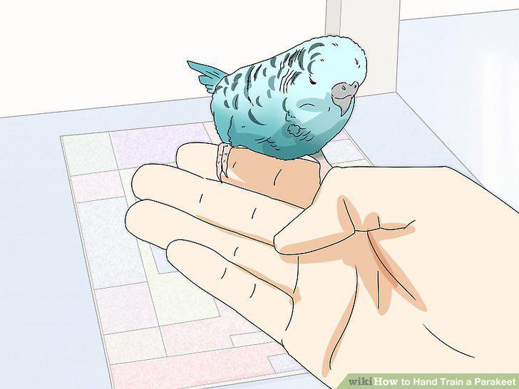 Step 15