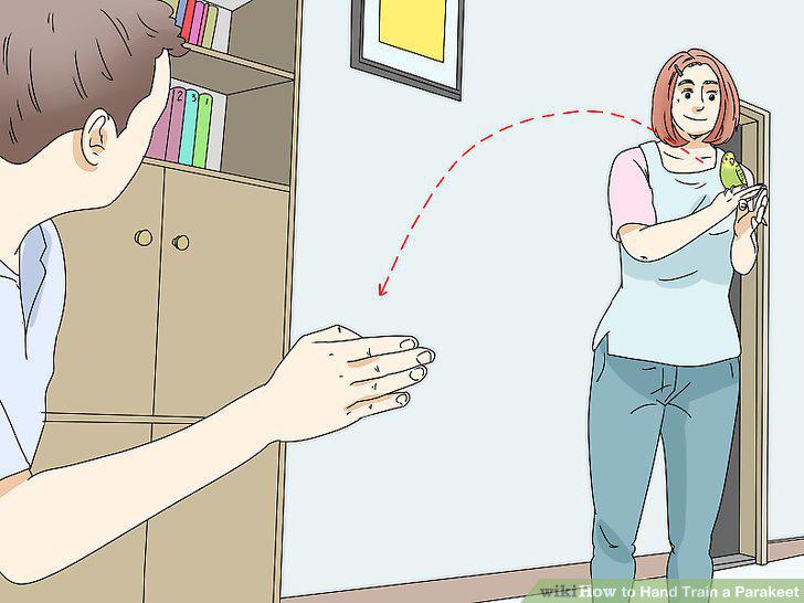 Step 16