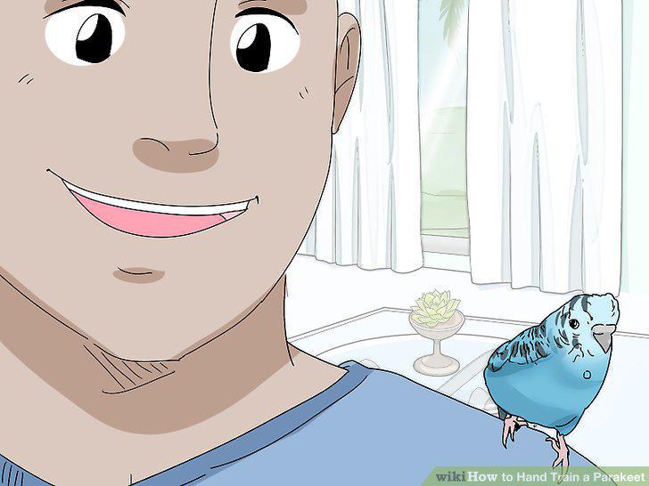 Step 17