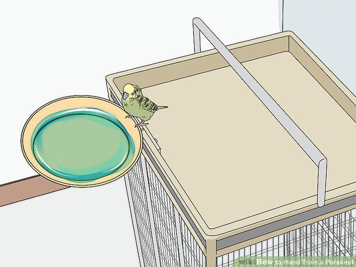 Step 5