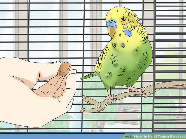 Step 9