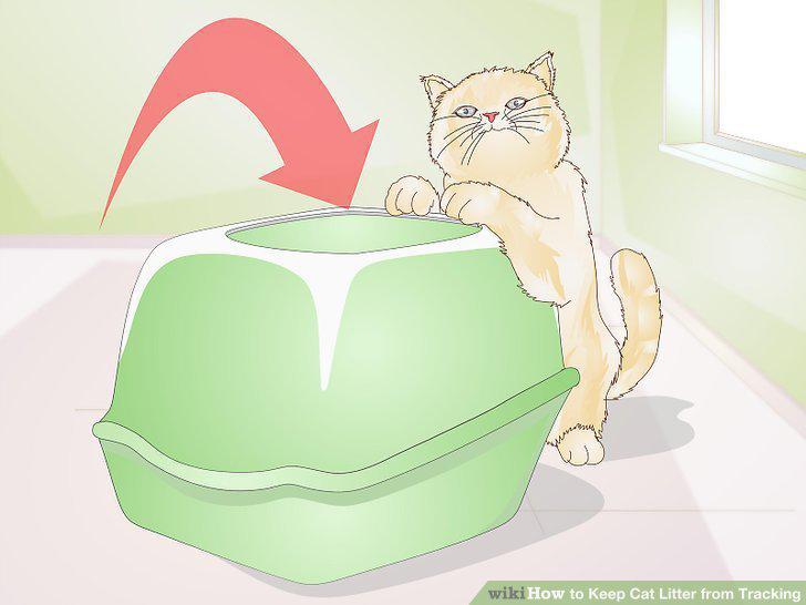 Step 5