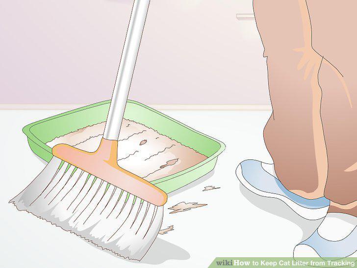 Step 9
