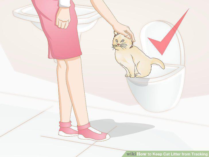 Step 10