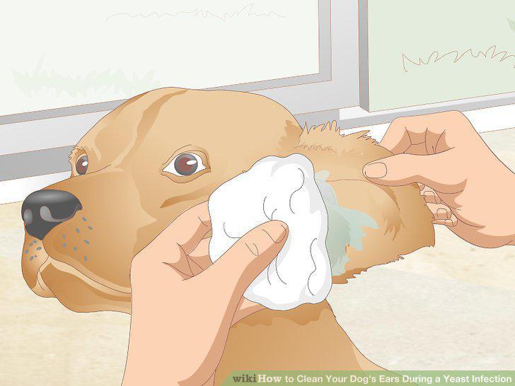 Step 11