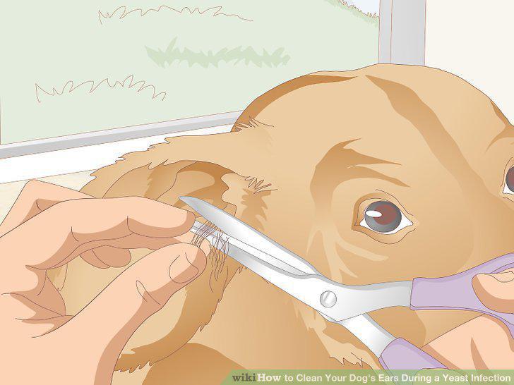 Step 12
