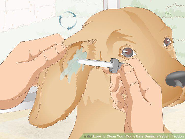 Step 13
