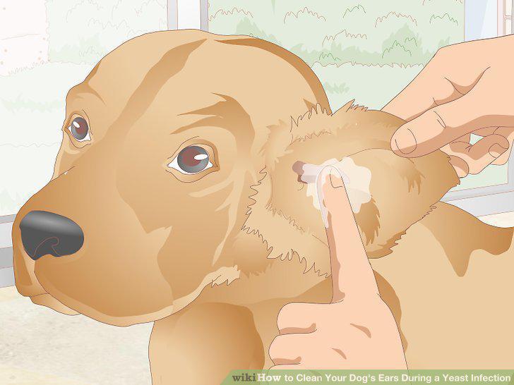Step 3