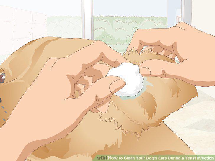 Step 8