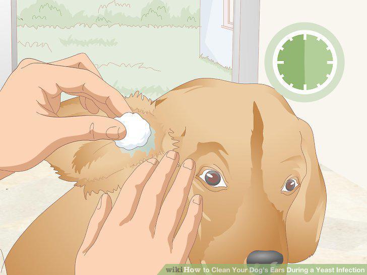 Step 9