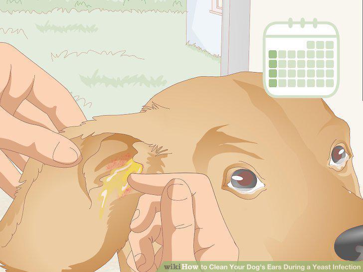 Step 10