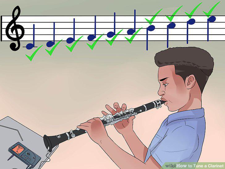 Step 12