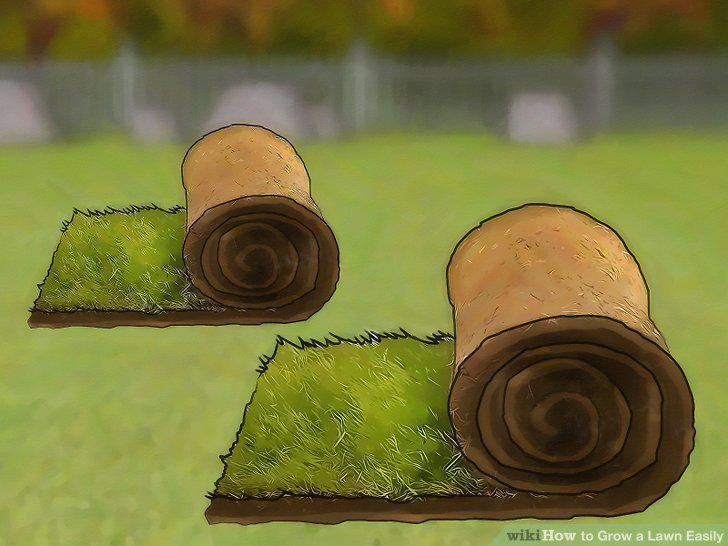 Step 10