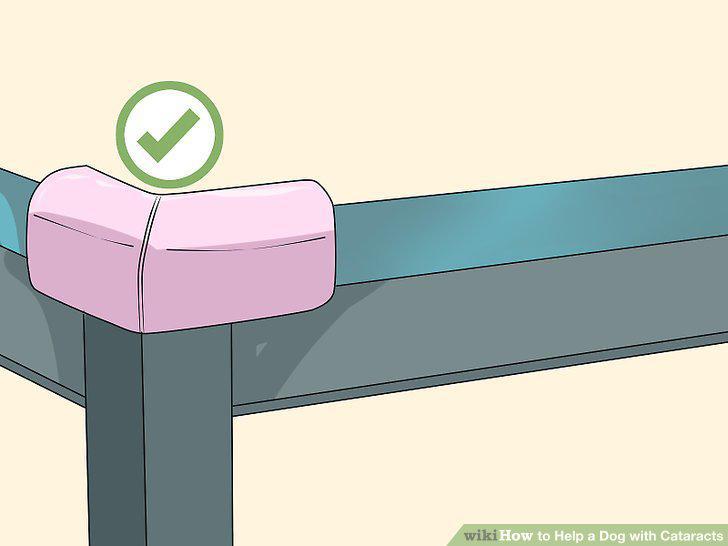 Step 11