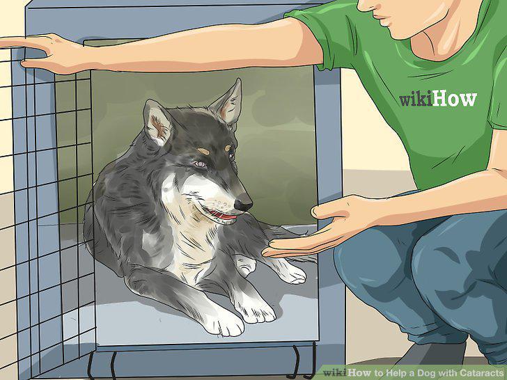Step 13