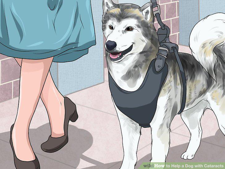 Step 16