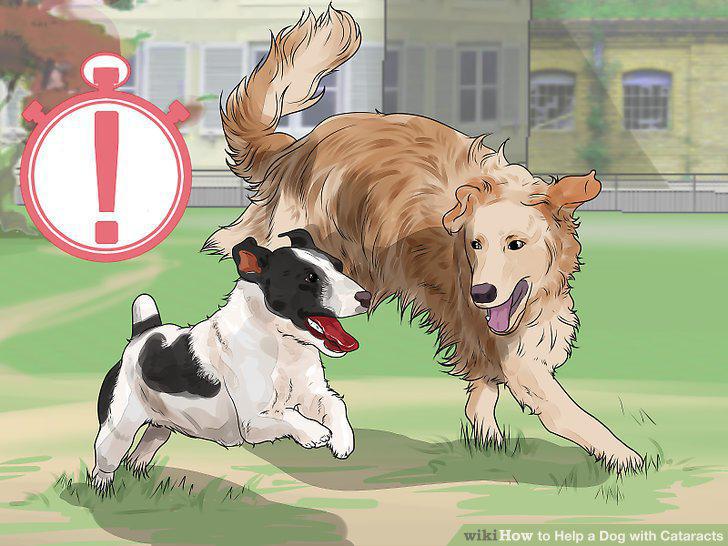 Step 17