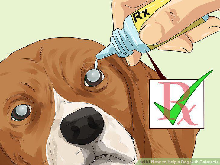 Step 18