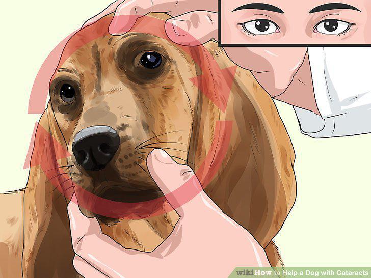 Step 5