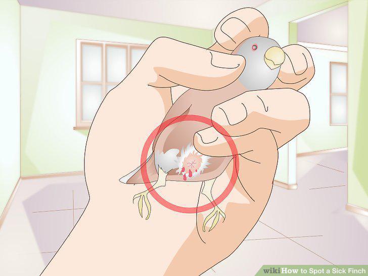 Step 11