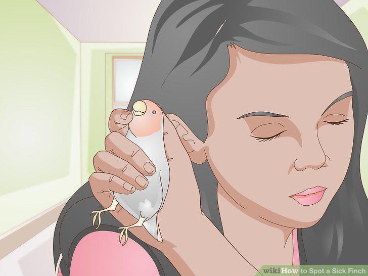Step 15