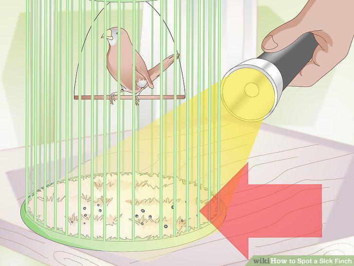 Step 19