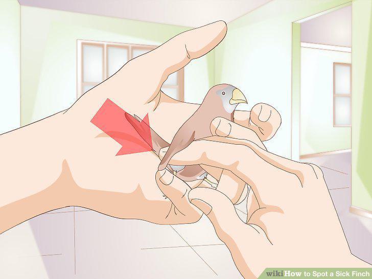 Step 7