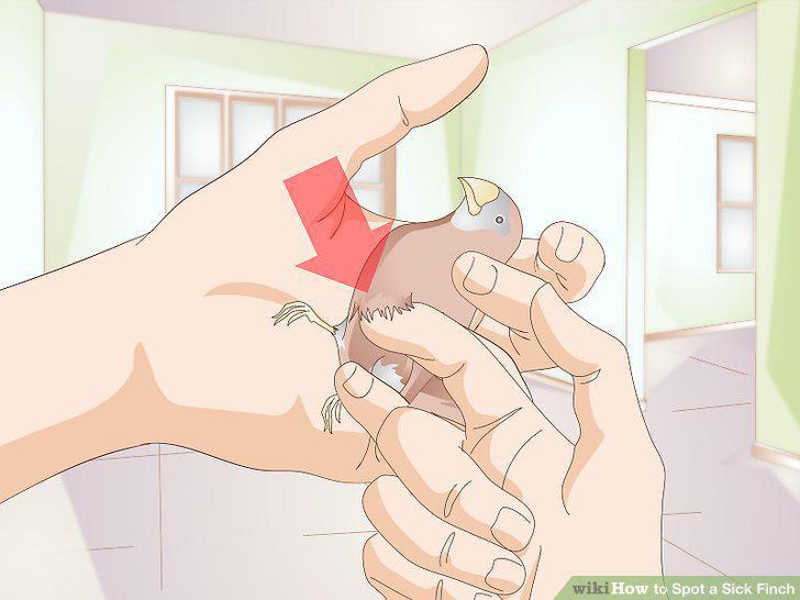 Step 9