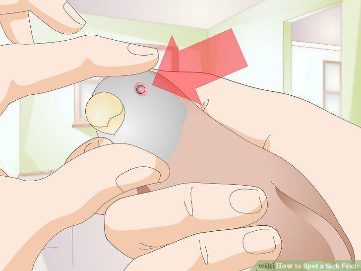 Step 10
