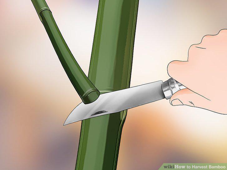 Step 11