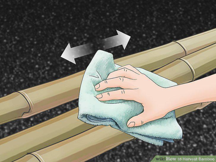 Step 14