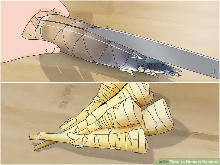 Step 5