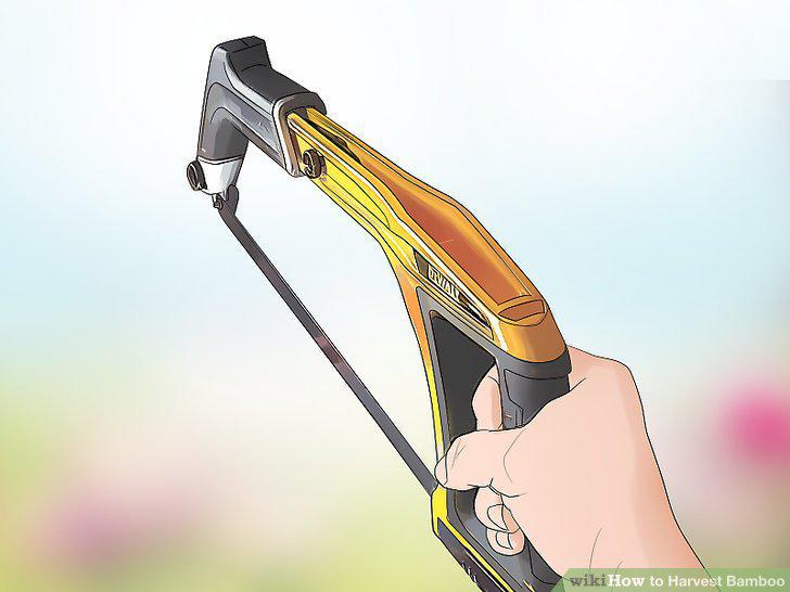 Step 8
