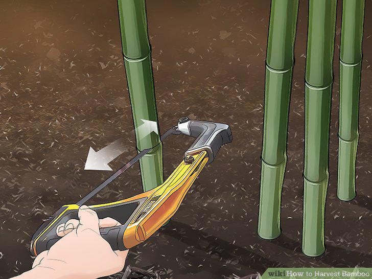 Step 10