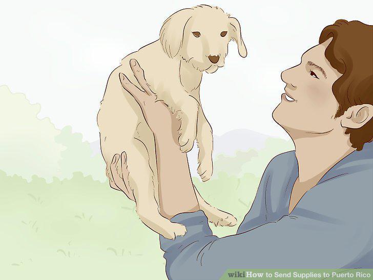 Step 10
