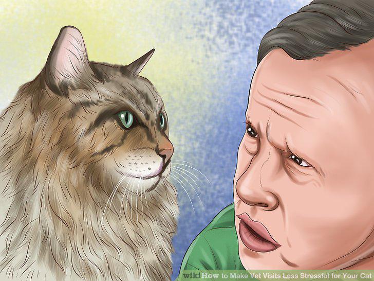Step 10
