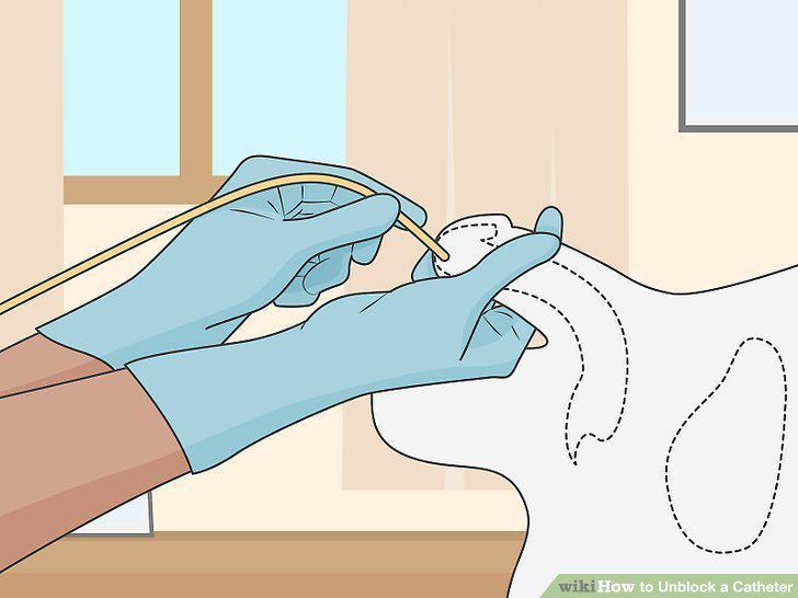 Step 11
