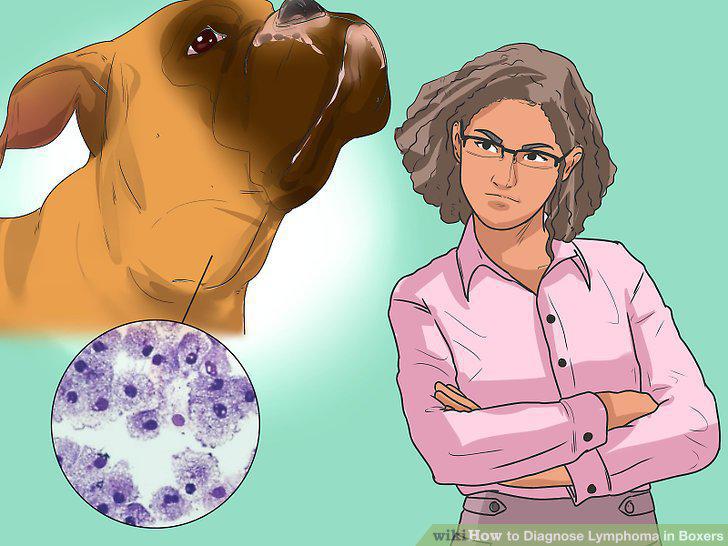Step 10
