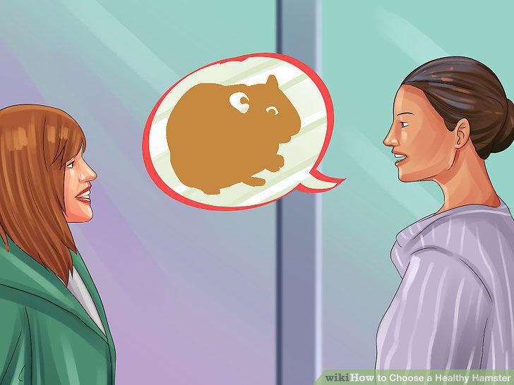 Step 12