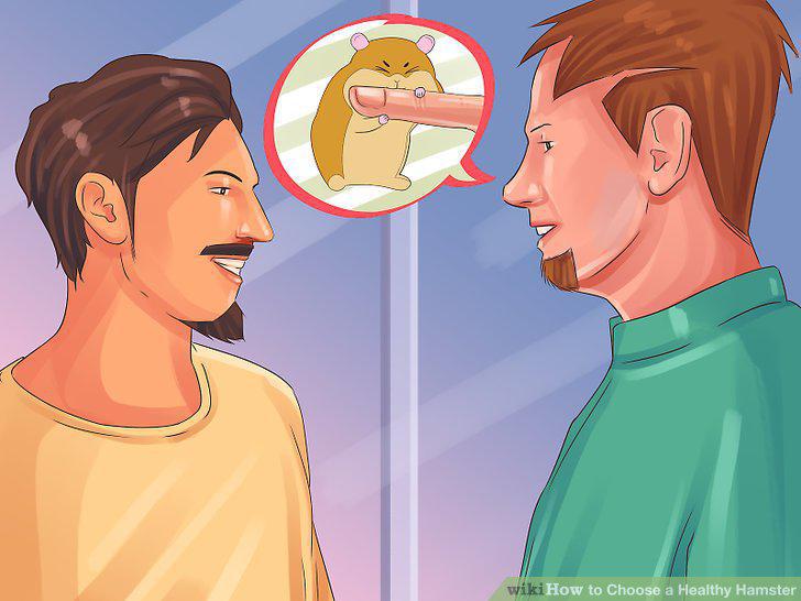 Step 14