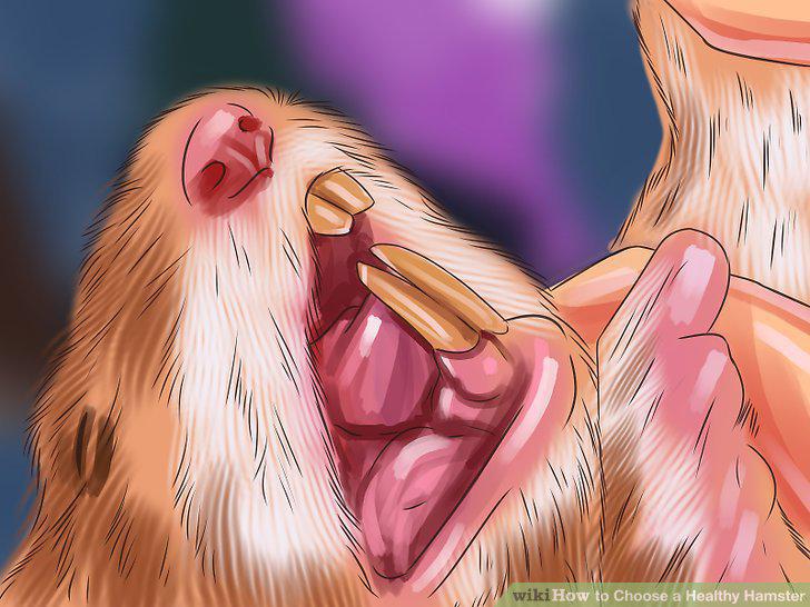 Step 7