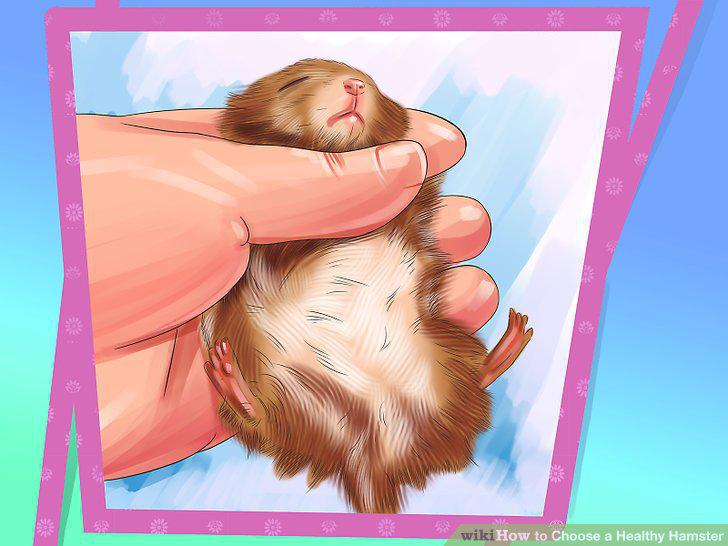 Step 8