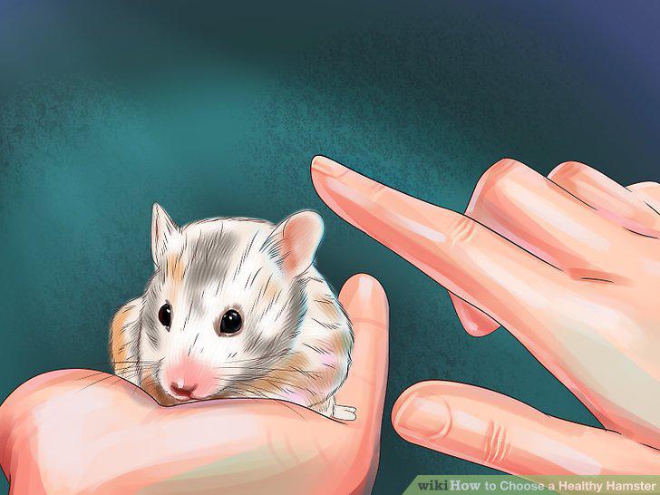 Step 9