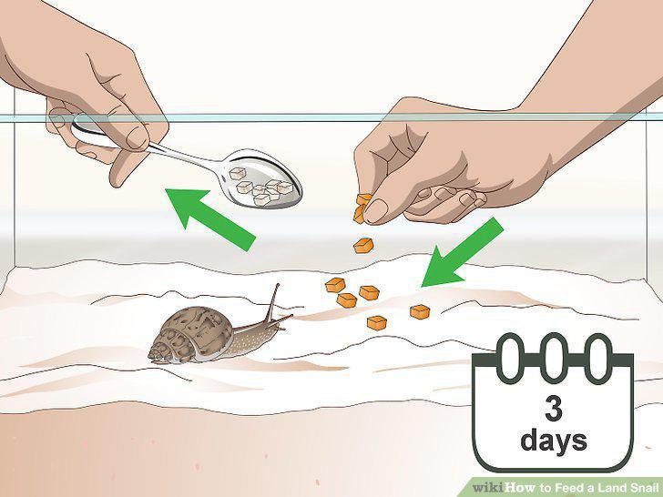 Step 4