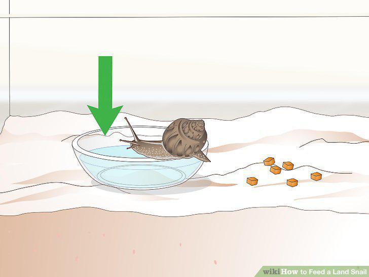 Step 5