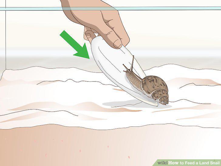 Step 6